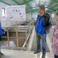  V jedru naprave s pokritimi bazeni poteka biološko 
prečiščevanje.