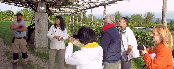 Sebastjan in Loredana Štemberger (levo) sta predstavila 
najstarejšo kraško trto ob Turkovi domačiji v Šepuljah. 