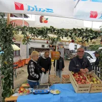 107 centimetrov  dolg olupek