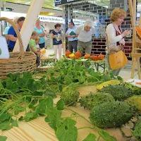 Na Ajdovskem so se že lotili gojenja neavtohtonih sort sadja in zelenjave. Tudi v novih 
pristopih občina, ki pripravlja celovite ukrepe pomoči, vidi priložnost.