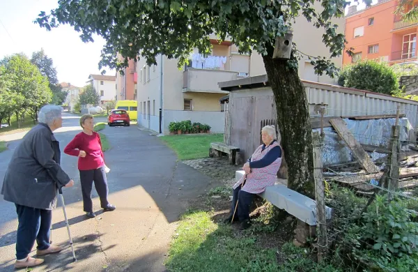 Divačanke Ana Švagelj, Marija Pernič in Rozalija Žerjal so povedale, da     je  bil v okolici 
železničarskih blokov   prejšnji mesec, ko so čistili barakarsko naselje, cel cirkus: “Škovac, 
zarjavelih švelerjev, starih čevljev in    vseh vrst krame je bilo tovornjake in tovornjake.”



  

