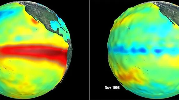 Razlike v temperaturi površinskih voda Tihega oceana med 
letoma z izrazitima pojavoma El Niño (levo) in La Niña 
(desno).