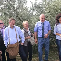 Kakovostna, a bolj pičla letina