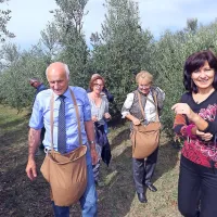 Kakovostna, a bolj pičla letina