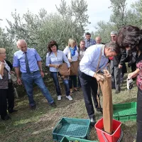 Kakovostna, a bolj pičla letina