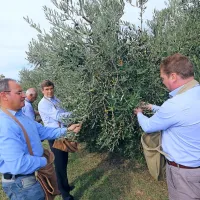 Kakovostna, a bolj pičla letina