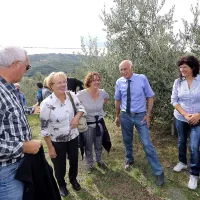 Kakovostna, a bolj pičla letina