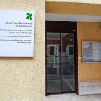 Ko so postali “lastniki” podjetij, so poskušali priti še do 
delovnih dovoljenj in dovoljenj za bivanje. 