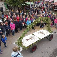 Di&scaron;eči  kostanji za druženje