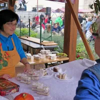 Kostanjevo torto velikanko so obiskovalci hitro razgrabili, več 
časa pa so si vzeli za klepet z domačini, kar je ene lepših plati 
rodiškega praznika.

