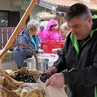 Kostanj je zadišal po celem Rodiku.