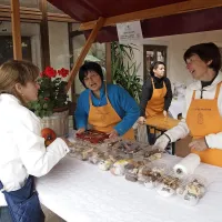 Di&scaron;eči  kostanji za druženje