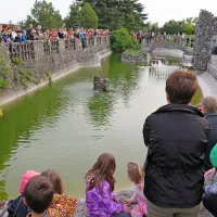 Novo poglavje za &Scaron;tanjel