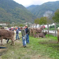 Telica &Scaron;arma je očarala kupce