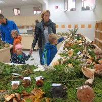 Jesenska tržnica, na kateri je vse najbolj&scaron;e pridelano doma