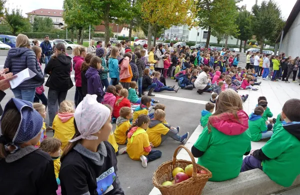 Učenci številnih šol  so  pred pivškim Krpanovim domom 
dokazali, da  so  domača brkinska “japka” ne samo okusna in 
zdrava, temveč tudi zabavna.   