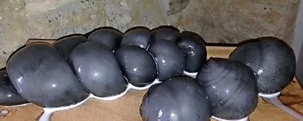 Nera di bufala