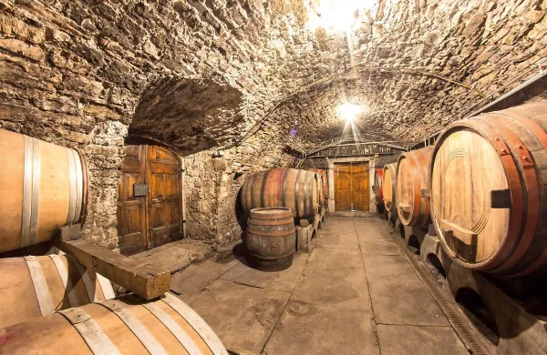 V primorskih kleteh lahko pričakujemo letnik, ki bo navdušil 
ljubitelje vin.  