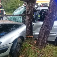 Citroen xsara je dobesedno objel obcestni bor. 