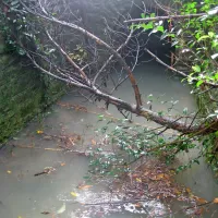  Tako širok je kanal na eni strani glavne ceste, na drugi strani 
se voda zliva v ožje betonske cevi. 