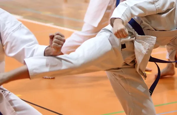 Dober start karateistov