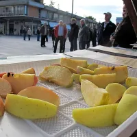 &ldquo;Zahtevamo po&scaron;teno plačilo!&rdquo;