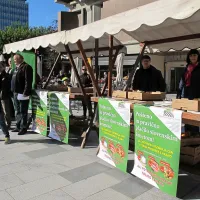 &ldquo;Zahtevamo po&scaron;teno plačilo!&rdquo;