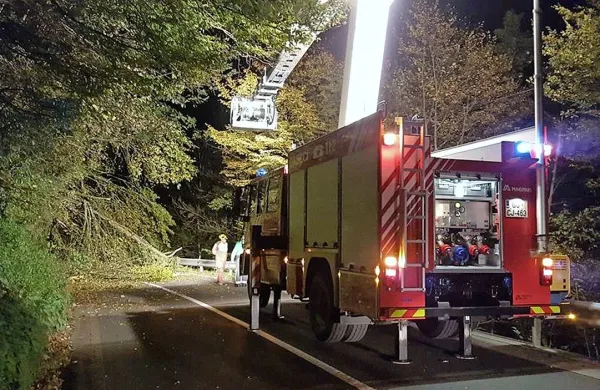 

Včeraj ob 21.30  je na regionalno cesto Tolmin-Idrija pri 
odcepu za  Otalež  zaradi razmočenega terena padlo dvanajst  
dreves.