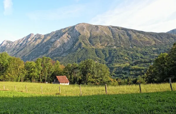 Krasji vrh