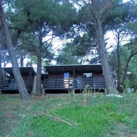 Ru&scaron;ili bodo &Scaron;tudentski tabor