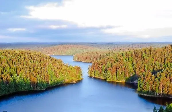 Zimsko kolesarjenje v finskem mestu Oulu.