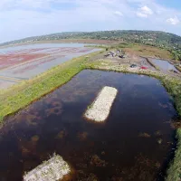Obnovljeno sladkovodno jezero pri nekdanjem rudniku  zdaj 
nudi življenjski prostor zaščiteni želvi sklednici.