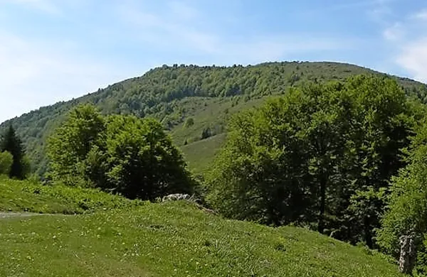 Mrzli vrh