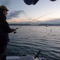 Na Moletu se dela dan. Potniška ladja drsi čez zaliv proti 
potniškemu terminalu, ribič v sosednjem čolnu nastavlja 
stoječe mreže, Peter Kodre pa čaka na lignje.  