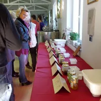 Čebelarstvo je pomembna panoga ne samo zaradi pridobivanja medu, temveč tudi zaradi opraševanja. Slovenska  
avtohtona kranjska čebela pa je prva pasma v Evropi in druga  
na svetu.
