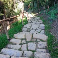 Obiskovalci piranskega zaledja se lahko poslej sprehodijo 
tudi po treh pohodnih poteh v Sv. Petru, Padni in Novi vasi.