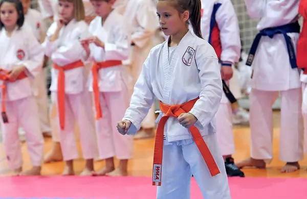 Na mladih tudi karate stoji ...