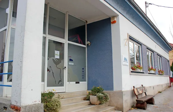  Preden bodo zapuščene živali, najdene na območju postojnske občine, prepeljali v zavetišče 
v Vitovljah, jih bodo veterinarsko oskrbeli na Veterinarski postaji Postojna. 

