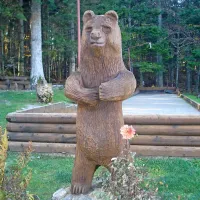 Medved ima na Mašunu, kjer je pogost gost, tudi svojo 
leseno skulpturo.