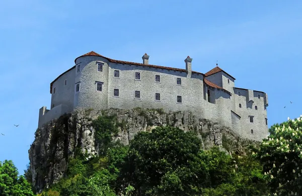 S projektom Feniks bo kastelolog Juan Pablo Maschio izdelal 
obsežno bazo podatkov digitalnih rekonstrukcij grajskih 
razvalin. Tako mogočno je bil nekoč videti grad Socerb. 