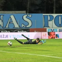 Gori&scaron;ko razburjenje  in koprska zmaga