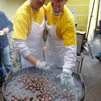 Krajevna skupnost Rodik je sodelovala tudi pri organizaciji 
kostanjevega praznika. Na občini pravijo, da bo odločala o 
vsem kot doslej, le račune za to bo vodila občinska uprava.  