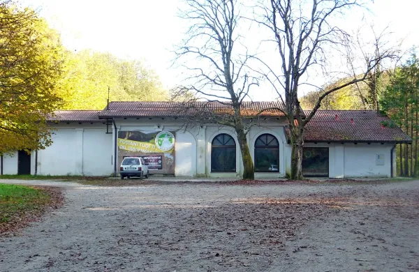 Kaj boljšega za tabornike, kot imeti sedež “sredi” gozda.
