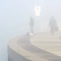 Fotogenična megla