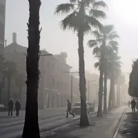 Fotogenična megla