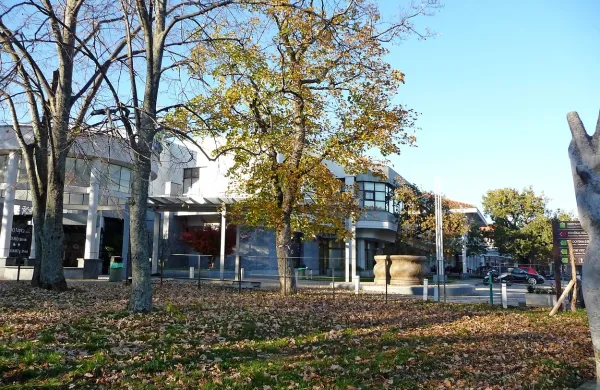 SDH je prejšnji teden brez vednosti direktorja zmanjšal osnovni kapital družbe Lipica turizem za 2,2 milijona evrov in s tem “pokril” večino izgube iz preteklih let.