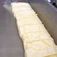 Prenovljena vipavska mlekarna uporablja izključno slovensko mleko