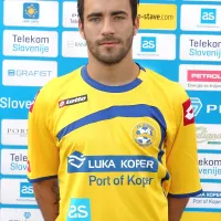 Mitja Lotrič