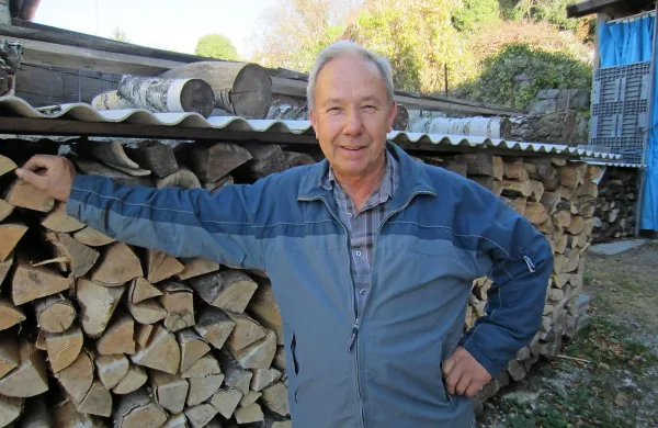 Ivan Cek - Liznov iz Senožeč