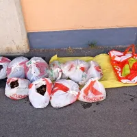 Koprski kriminalisti so med preiskavo zasegli 30 kilogramov 
zaščitenih školjk. 
